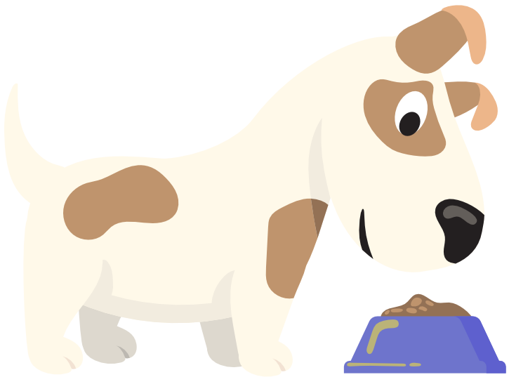 Tagesbetreuung Hund